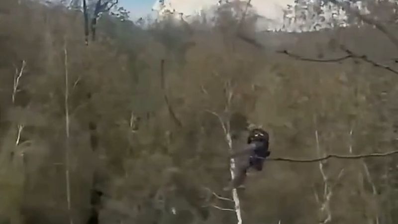 Arizona'ya hafta sonu yeni sel uyarısı: 31 Ekim akşamı-2 Kasım sabahı