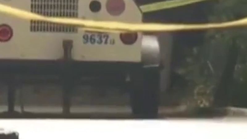 New York polisi Central Park'ta bıçak zoruyla cinsel saldırı şüphelisinin görüntülerini yayımladı