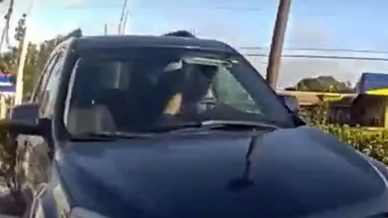 Tampa'da çalıntı cip ile kaçan kadın şerif aracına çarptı