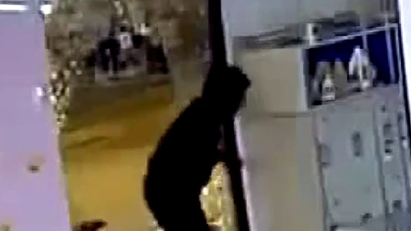 Chicago'da aynı caddede bir gecede en az 13 iş yerine hırsız girdi