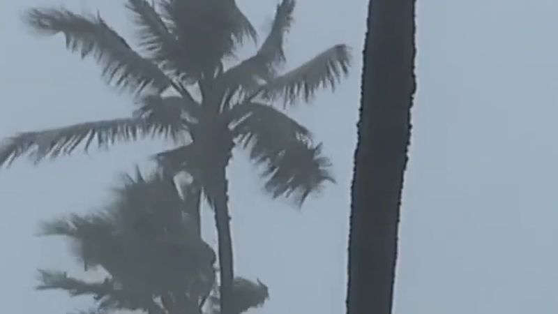 Hawaii'ye 26-29 Ekim için şiddetli yağış ve sel uyarısı