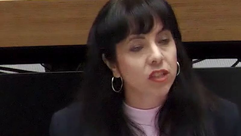 Türk kökenli Elif Eralp: Kimsenin beni korkutmasına izin vermeyeceğim