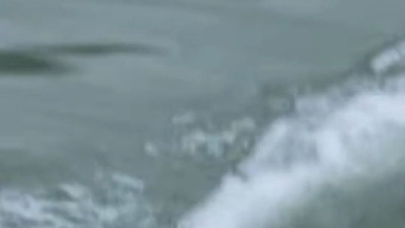 Aşağı Saksonya'da ilk cankurtaran robot: Dolphin 3 suda zor durumdakilere yetişiyor