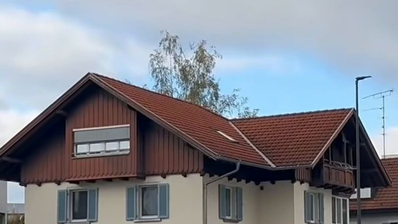 Dornbirn'de büyük polis operasyonu: Cobra da olay yerinde
