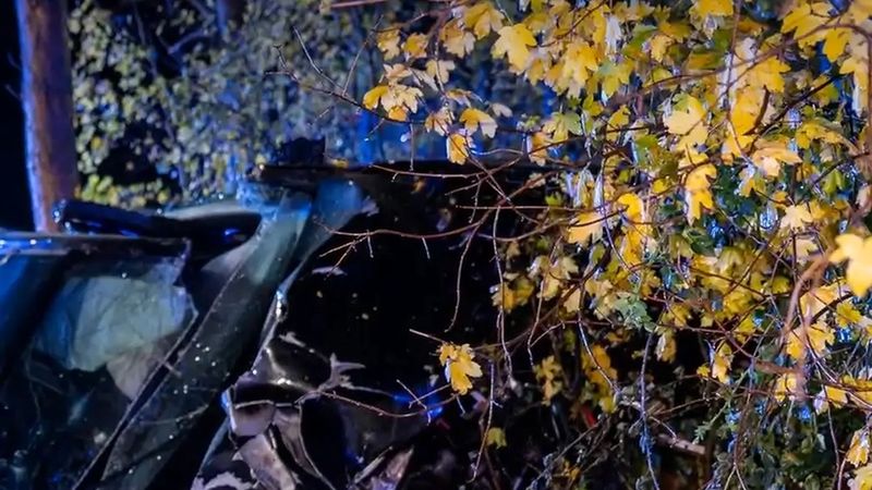 Yukarı Avusturya'da yoldan çıkan otomobilin motor bloğu yerinden koptu