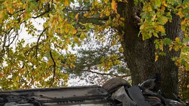 Avusturya'da takla atıp ters dönen otomobilden anne ve çocuğu kendi başına çıktı