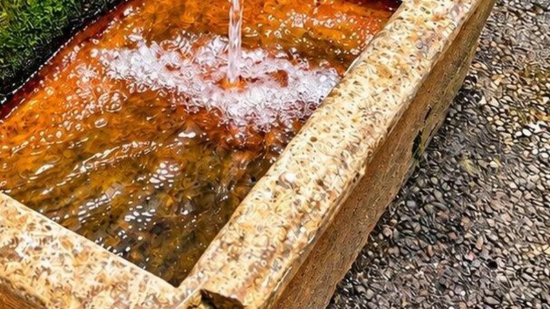 Avusturya'da su sıkıntısına rağmen her gün 1,8 milyon litre içme suyu kanalizasyona akıyor