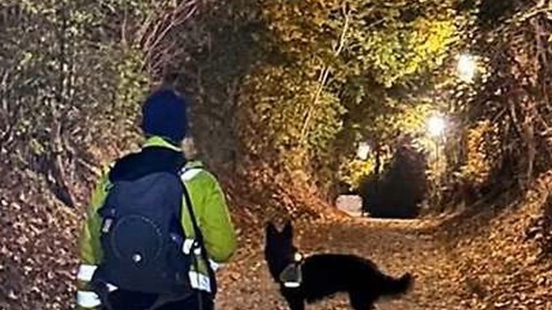Melk'te kaybolan demans hastası yaşlı adamı arama köpeği ormanda canlı buldu