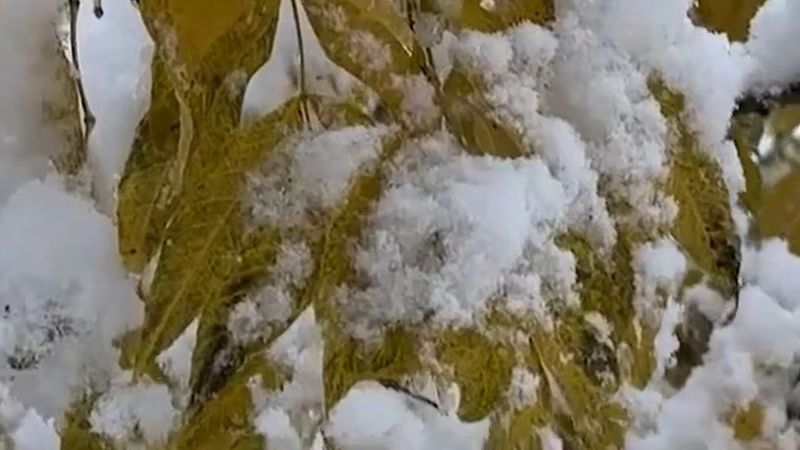 Viyana'ya Perşembe sabahı sarı rüzgâr uyarısı, dağlara ilk kar