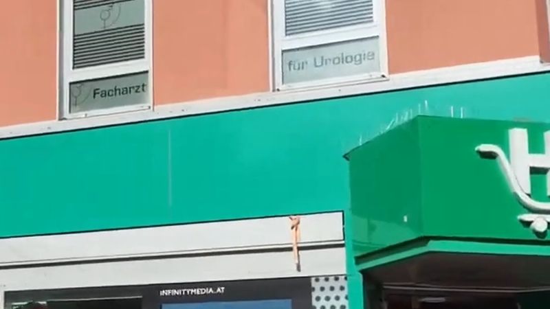 Avusturya'da 166 bin 600 kişinin doğum yeri Türkiye; Viyana'da oran yüzde 41,3