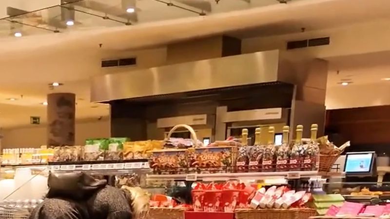 26 Ekim Pazartesi Avusturya'da marketlerin çoğu kapalı: büyük alışveriş cumartesiye