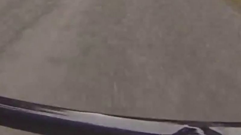 Belçika'da Anlier Ormanı'ndan geçen belediye yollarında 1 Kasım'dan itibaren hız sınırı 50 km/s