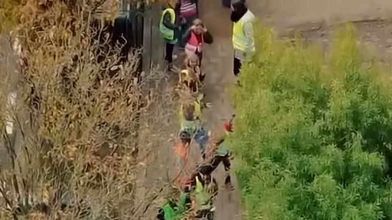 Gent'te 300 öğrenci insan zinciriyle kütüphanenin kitaplarını taşıdı