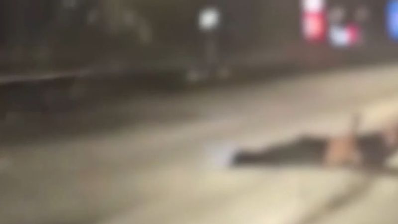 Willebroek'te A12 otoyolunda yürüyen adamı sürücü son anda fark edip yoldan uzaklaştırdı