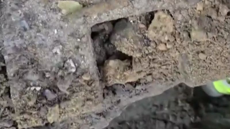 Hasselt'te kazıda savaştan kalma 2 fosfor bombası çıktı: biri duman saldı