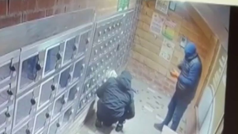Kinrooi'da kuşkonmaz çiftliğinin sebze otomatı üçüncü kez soyuldu