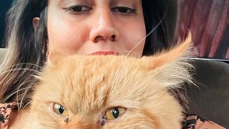 Dubai Havalimanı'nda kaybolan kedi Chuuti Sri Lanka'da sahibine kavuştu