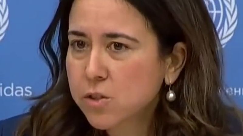 Lana Nusseibeh 27 Ekim Salı akşamı Güvenlik Konseyi üyelerine Genel Sekreterlik vizyonunu anlatacak