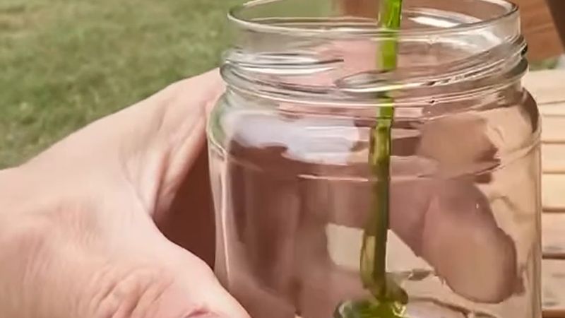 Fransa'da bir arıcının kovanlarından yeşil bal çıktı