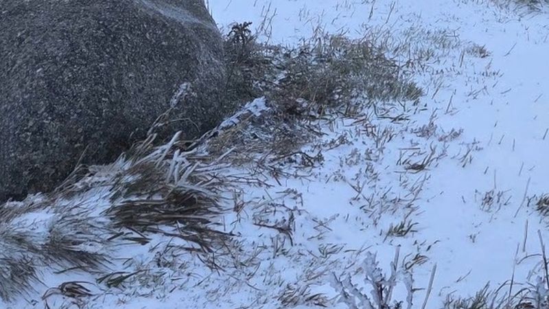 Fransa'da Vosges dağlarına sezonun ilk karı düştü: Hohneck ve Markstein zirveleri beyaza büründü