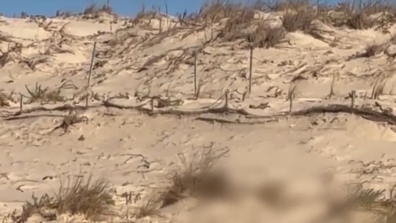 Fransa'da 15 ton kokain alarmı: Le Porge bütün plajlarını kapattı