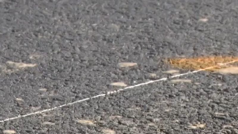 Fransa'da bisikletli iki genç kıza çarpıp kaçan sürücü gözaltına alındı