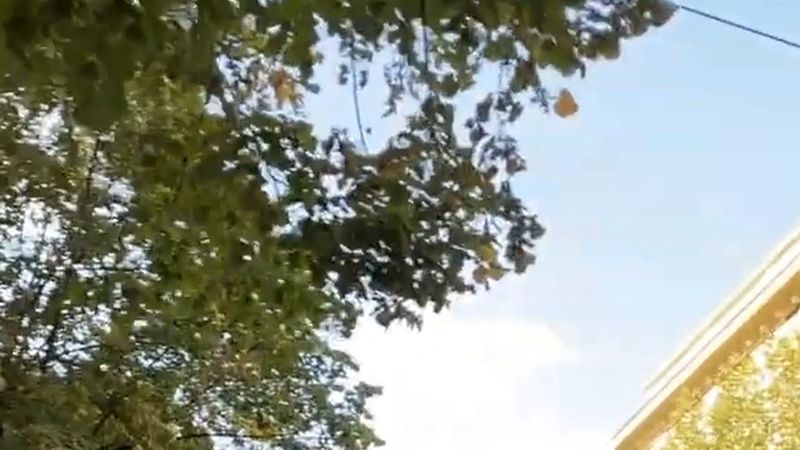 Nice'teki Türkler dikkat! 24 Ekim Cumartesi Nice merkezinde tüm gösteriler yasak