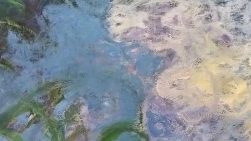 Monet'nin İris tablosu Paris'te 50 milyon euroya satıldı, Fransa rekoru