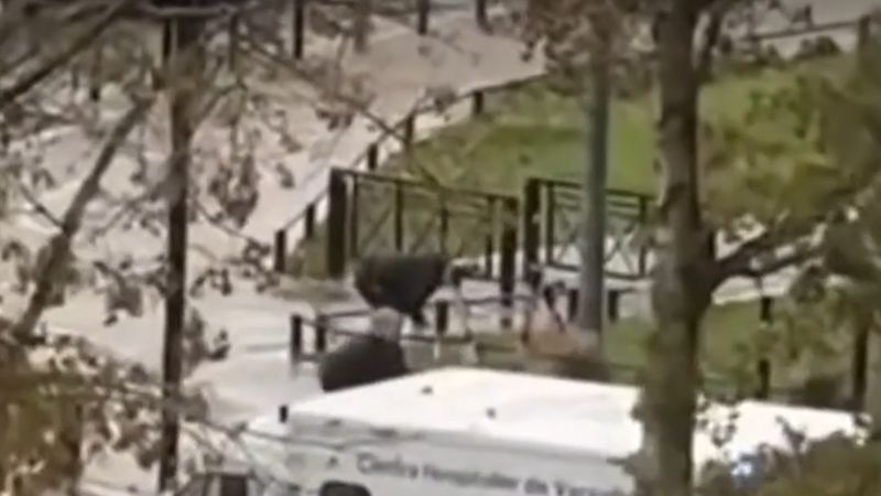 Trappes'ta sokakta otomatik silahla ateş açıldı: 1 ölü, 4 yaralı