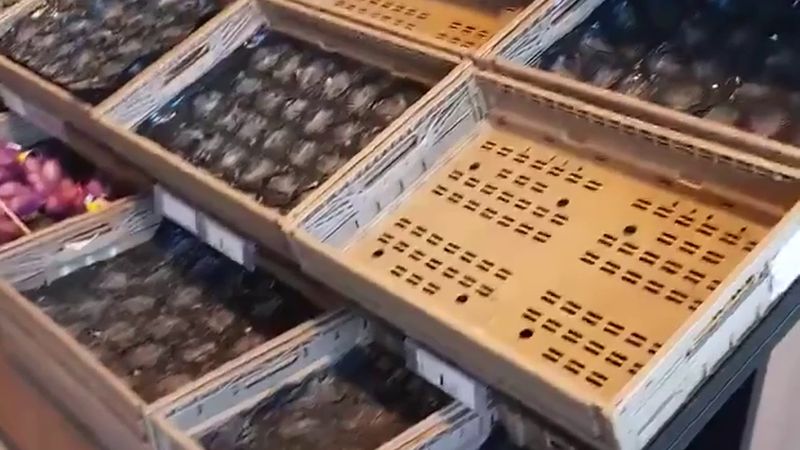 İtalya'da tır şoförleri yolları kapattı: güneyde market rafları boşaldı