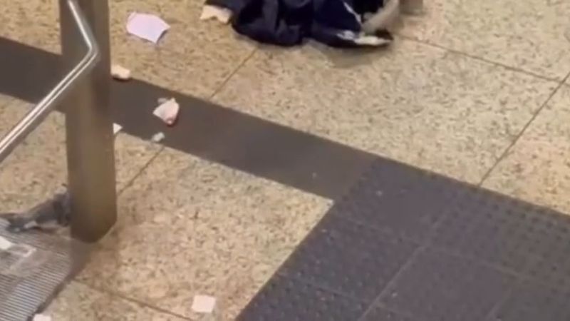 Münih metrosunda peronda kadına saldırı: şüpheli gözaltında