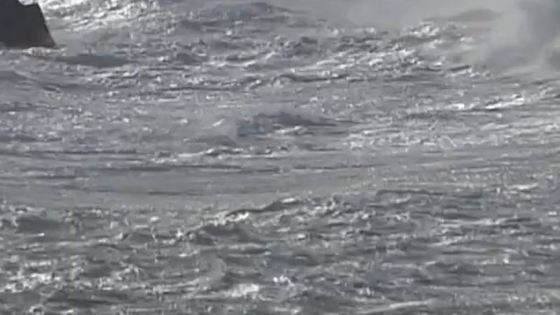 Gurbetçiler dikkat! Kuzey Denizi'ne cumartesi gecesi 110 km/s fırtına
