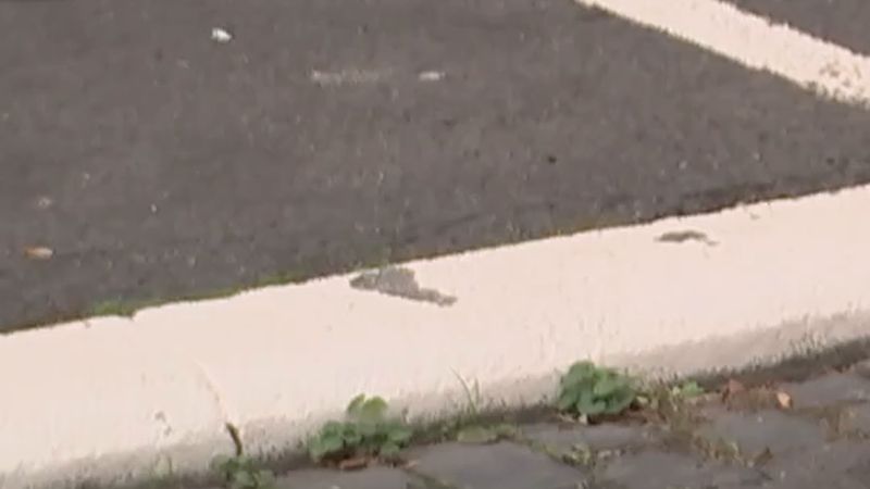 Wiesbaden izinsiz boyanan 170 park ve giriş işaretini siliyor