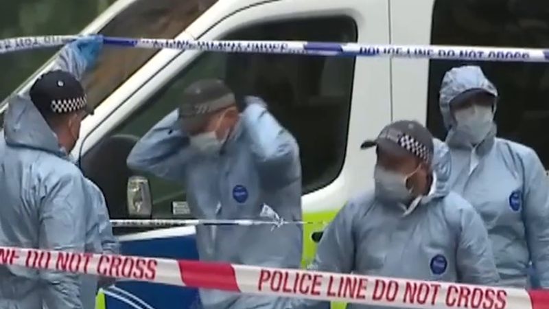 Tottenham Boys ve Bombacılar: Londra'da 20'den fazla ölüm bildirilen çete savaşının iki tarafı