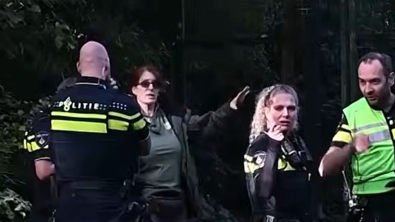 Beekse Bergen'de panter saldırısına uğrayan bakıcı uyutularak tutuluyor