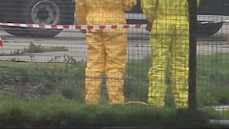 Lutjegast'ta kuş gribi: 45 bin tavuk itlaf edilecek, 10 kilometrelik bölgede nakil yasağı