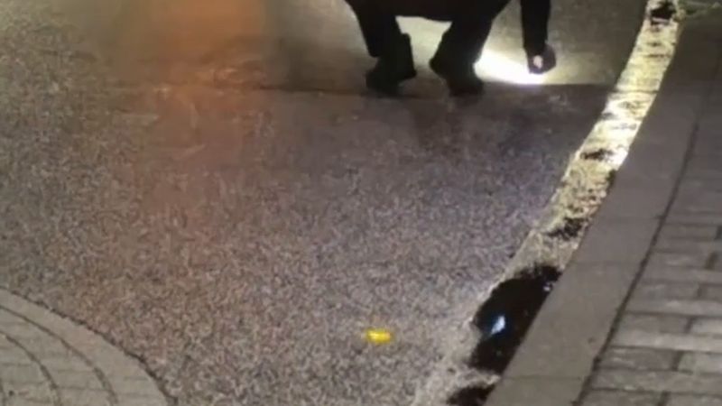 Banholt'ta gece silah sesleri: sokakta boş kovanlar bulundu, yaralanan yok