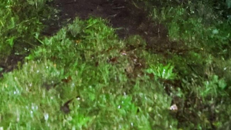 Boekel'de alkollü sürücü cam otobüs durağına daldı, aydınlatma direğini söktü