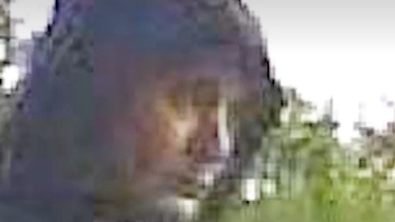 Lahey'de yaşlı kadını tramvaydan evine kadar takip eden adam aranıyor