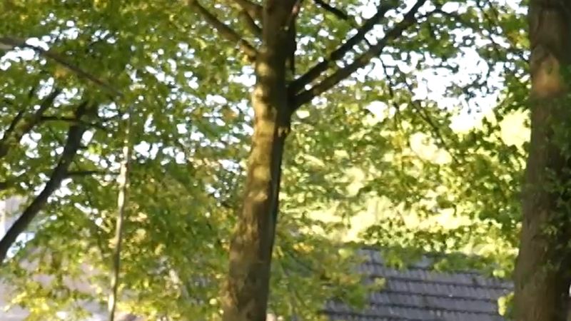 Drimmelen'de sokakta bir kişi ölü bulundu, polis sokağı kapattı