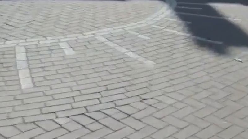 Rotterdam'da özel ev sahipleri hâlâ çok yüksek kira istiyor: 212 bildirim, 34 evde kira düştü