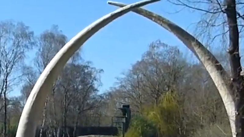 Beekse Bergen safari parkında kadın bakıcı ağır yaralandı