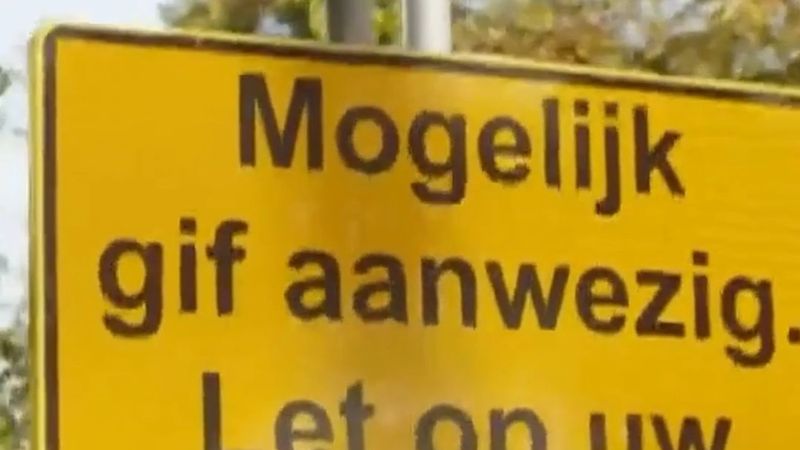 Schiedam'da altı köpeğin ölümünde ilk toprak sonuçları: zehirli mantar ya da kirlilik izine rastlanmadı