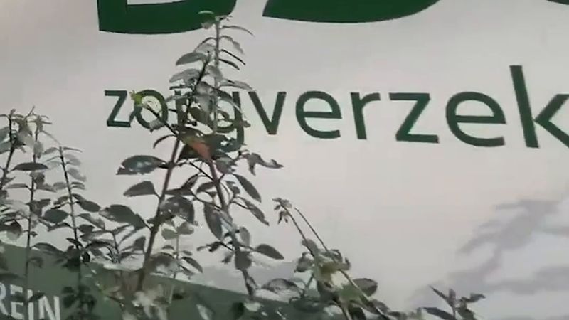 Hollanda'da sağlık sigortası primine rekor artış: DSW 2027'de aylık 173,25 avro