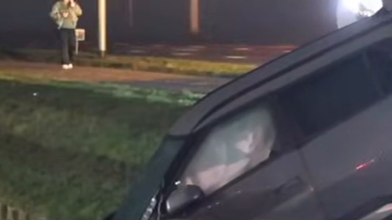 Honselersdijk'te çarpışan iki otomobilden biri yoldan çıkarak suya düştü