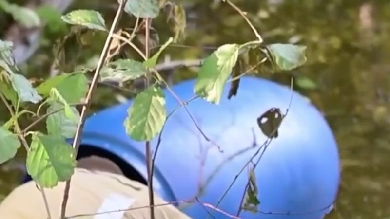 Deventer'de gölette şüpheli mavi variller bulundu