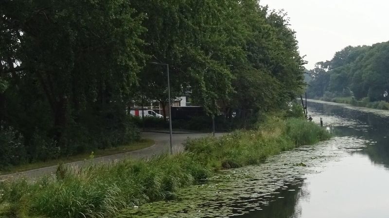 Rotterdam'da aracında gülme gazı tüpü bulunan sürücü çite çarptı