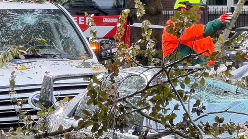 Austen fırtınası geldi: Maastricht'te devrilen ağaçlar 5-6 aracın üstüne düştü