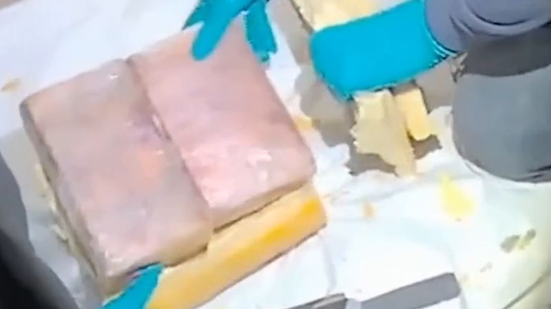 Peynir tekerleklerine gizlenmiş 450 milyon sterlinlik kokain çetesi hapse girdi
