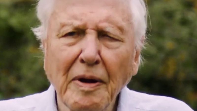 Attenborough'un desteklediği 30 milyon sterlinlik Rothbury arazisi doğa vakıflarının oldu